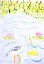 Jakubeczová Cynthia.jpg